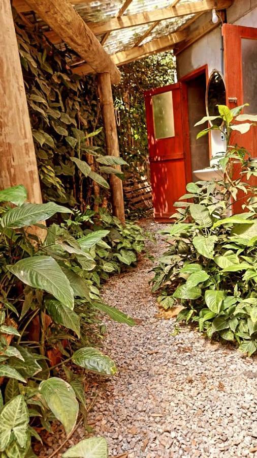 Villa Morena Benessere フロリアノポリス エクステリア 写真