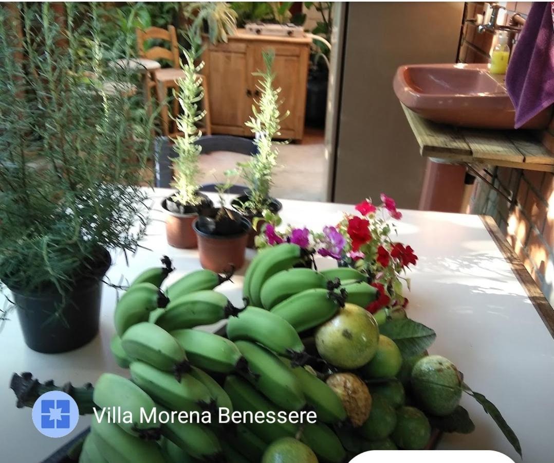 Villa Morena Benessere フロリアノポリス エクステリア 写真
