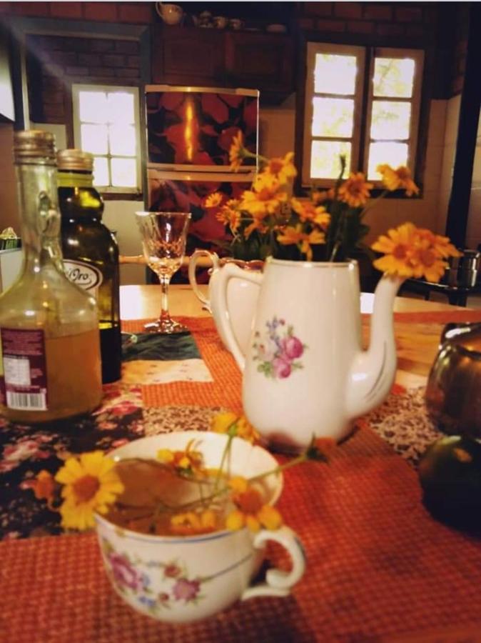 Villa Morena Benessere フロリアノポリス エクステリア 写真